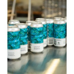 Gamma Brewing Reductive Reasoning - Gamma Brewing Company