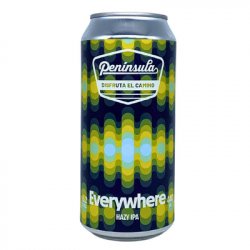 Península Everywhere Hazy IPA 44cl - Beer Sapiens