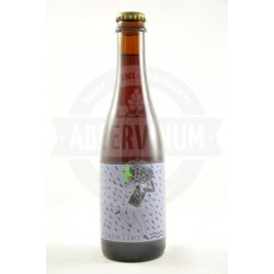 Mikkeller Spontanblackberry