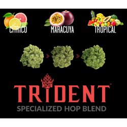 Lupulo en pellet Trident - 1oz - TicoBirra