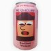 Birra Mikkeller Hallo Berliner Raspberry 33cl 
