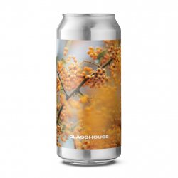 GlassHouse Beer Co In Ochre