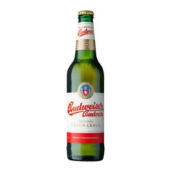 BUDWEISER  500ml - CityDrinks