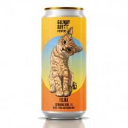 Galway Bay Felina Mango, Papaya, Passionfruit Catharina Sour - Craft Beers Delivered