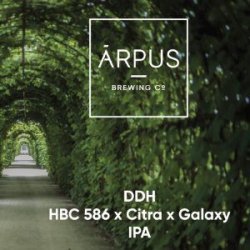 Arpus HBC 586 x Citra x Galaxy - Bierwinkel de Verwachting