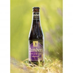 Zundert, 10, Belgian Quadruple, 10%, 330ml - The Epicurean