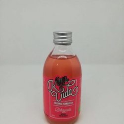 KOMBUCHA KOMVIDA BERRYVIDA 24UD25CL - Abeerzing