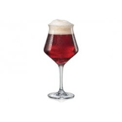 Nøgne Ø No. 50 Glas Tulp 25CL - Van Bieren