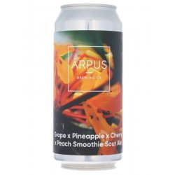 Ārpus - Grape X Pineapple X Cherry X Peach Smoothie Sour Ale - Beerdome