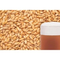 slad BEST MUNICH DARK (mnichovský tmavý) - Beerex