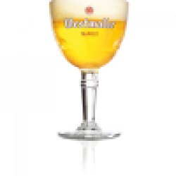 Westmalle Glass - Curators of Craft