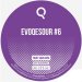Evoqe Sour! n° 6 24l 