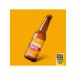 Scheldebrouwerij - Strandgaper - 33cl Scheldebrouwerij - Strandgaper - 33cl
