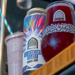 Blueberry Blast Slushy Sour 4.3% - Beer Ritz