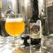 Brasserie de la Pieuvre Blanche verveine citron  0.75L 