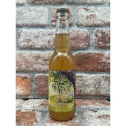 Elegast Sparkling Orchard Cider - 33 CL - House of Beers Uden