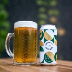 Gamma Brewing Organic Pilsner - ØL2GO