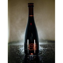 Nepomucen 9th Anniversary Imperial Baltic Porter 375ml - Funky Fluid