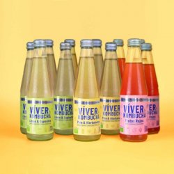 Viver KOMBUCHA PACK NUESTROS FAVS - Viver Kombucha