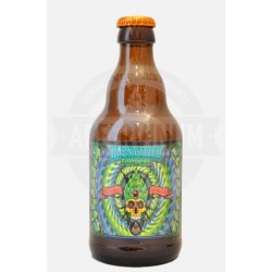 Enigma  Hopnytized Everyday IPA