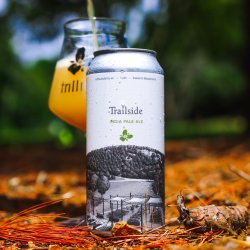 Trillium Brewing Company. Trailside - Brew Export