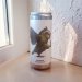 Brewski                                          Kakapow 