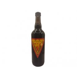 Volt Pozitron 12 0,75l - BeerPeak