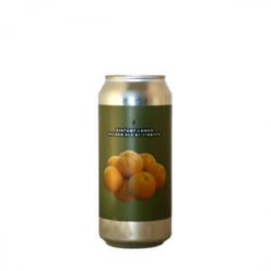 Garage  Finback  Distant Lands Golden Ale - Craft Metropolis