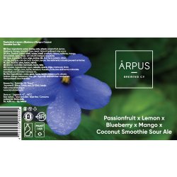 Ārpus Brewing Co. Passionfruit X Lemon X Blueberry X Mango X Coconut Smoothie Sour Ale