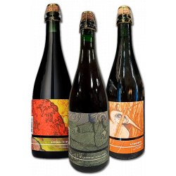 Insight Cellars Smagekasse (3 stk.)(Gns. 116,25 Kr. Pr. Øl) - A Good Case