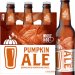 Steven’s Point Whole Hog Pumpkin Ale 2412oz bottles 