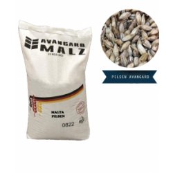 Malta Avangard Pilsen - Maltosaa
