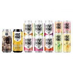 Hive Mind All The Cans Mixed Bundle - Hive Mind Mead & Brew Co