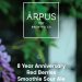 Arpus Brewing 8 Year Anniversary Red Berries Smoothie Sour Ale 