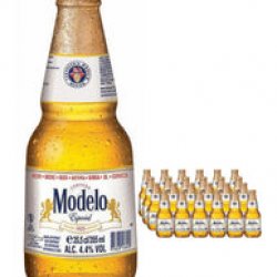 Modelo Especial
