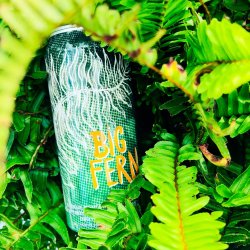 Hop Butcher For The World Big Fern Hop Butcher For The World Big Fern