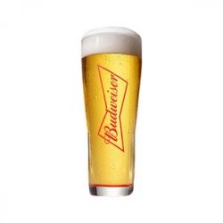 Vaso Budweiser 50 Cl - The Holy Cross