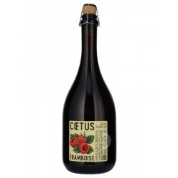 L'Apaisée - Coetus Framboise 2021 - Beerdome