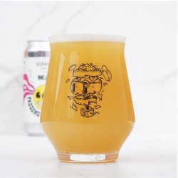 THE CRAFT DIARIES. HOP IN THE BOX 415ml CRAFT MASTER PURE TUMBLER GLASS - The Beer Shelf