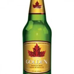 Molson Golden 12 pack12 oz bottles - Beverages2u