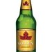 Molson Golden 12 pack12 oz bottles 