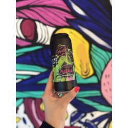 Pivovar Thrills Brewing Thyme with Vik