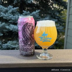 Hop Butcher For The World Aspect of Virgo Hop Butcher For The World Aspect of Virgo