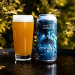 Burnt Mill X Finback  Swimming giants - The Cat In The Glass