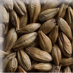 Malta Cara Gold KG (Caramel 30L40L) - Palma Rosa