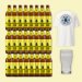 Nirvana Cloudy Lemon Lager Bundle 24 Alcohol-Free Beers with Glass & T-Shirt Nirvana Cloudy Lemon Lager Bundle 24 Alcohol-Free Beers with Glass & T-Shirt