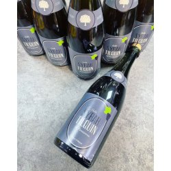 OUDE SYRAH TILQUIN 8% 750ML - The Beer Shelf