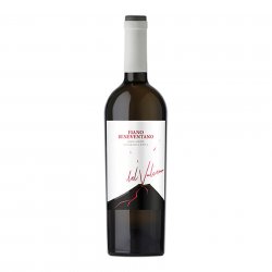 Fiano Beneventano, Dal Vulcano, White Wine, 12.5%, 750ml - The Epicurean