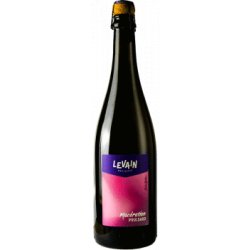 Levain Macération Poulsard – Bière de fermentation spontanée - Find a Bottle