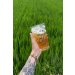Sheng GaGaGa Pint Cup 